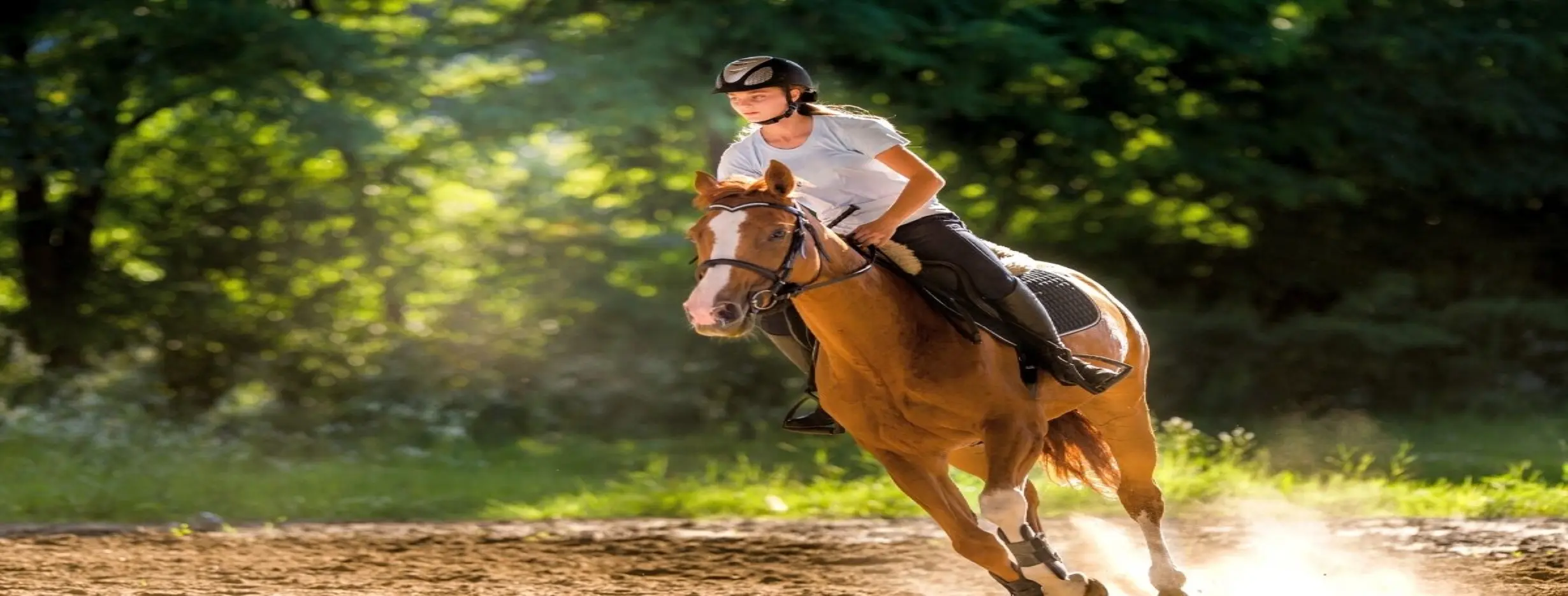 Image for Horse Riding